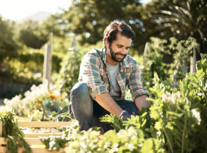 Jardinage urbain : une tendance verte aux multiples bienfaits